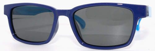 Polarized  8156 С31