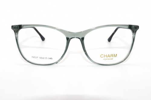 Оправа CHARM  7653T C2 55-17-145 фото 2