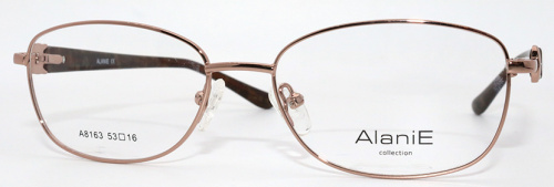 Оправа  Alanie A8163 с4 53-16-140 фото 2
