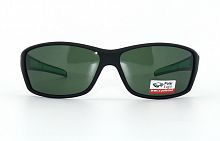 Polarized  Polar Eagle 8242 С6 56-17-139