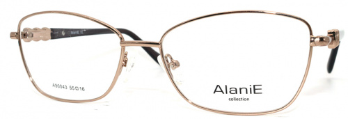 Оправа  Alanie 90043 c4 55-16-140
