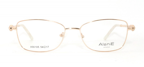 Оправа  Alanie 90105 c1 54-17-140