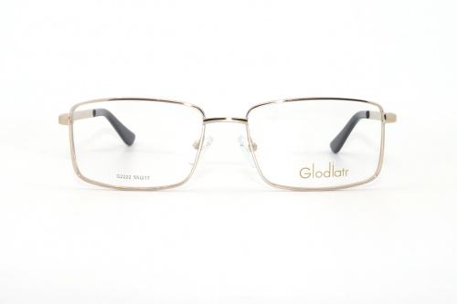 Оправа Glodiatr G2222 C1 55-17-140 фото 2