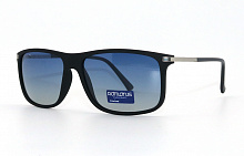 Polarized Romons  CA0427 С1  blue   61-15-140