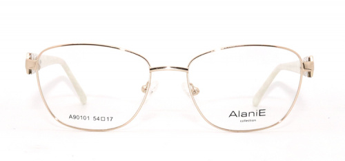 Оправа Alanie 90101 c1 54-17-140