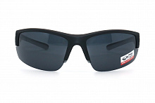 Polarized  Polar Eagle 8262 С3 72-18-126