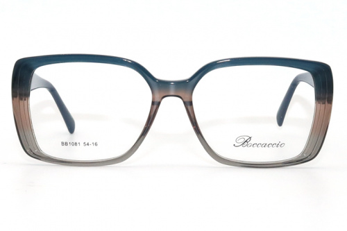 Оправа Baccaccio 1081 С2 54-16-142 фото 2 Оправа Baccaccio 1081 С2 54-16-142 фото 2
