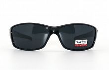 Polarized  Polar Eagle 8242 С1 56-17-139