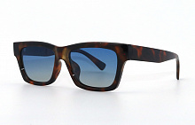 Polarized LeKe  17032  С31  53-18-141