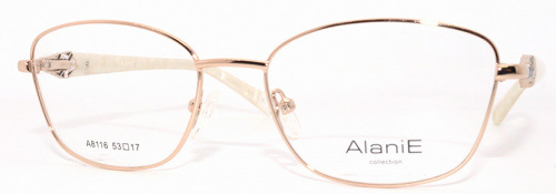 Оправа  Alanie A8116 с1 53-17-140 фото 2