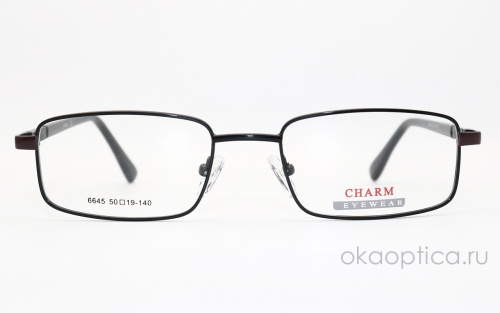 Оправа CHARM  6645 C1 50-19-140 фото 2