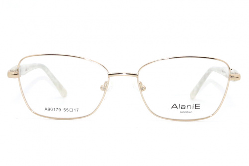 Оправа Alanie 90179 c1 55-17-140 фото 2