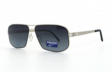 Polarized Romons  8679 С1  black  58-14-138