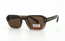 Polar Eagle 09306 C2 50-23-152