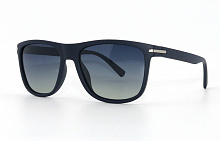 Polarized EC18041   C28  55-19-135