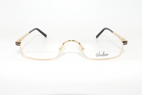 Оправа Glodiatr DS-L10 C2 51-20-145 фото 2