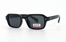 Polar Eagle 09306 C1 50-23-152