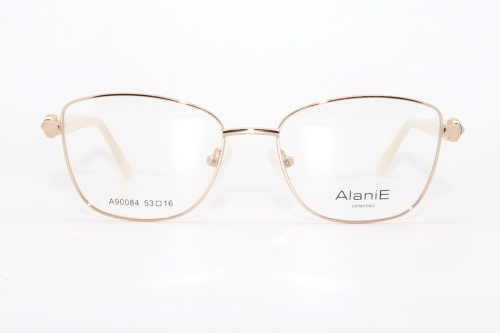 Оправа Alanie A90084 С1 53-17-138 фото 2