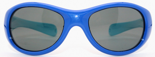 Polarized 8174 С28 фото 2