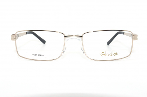 Оправа Glodiatr G2287 C1 56-18-145 фото 2