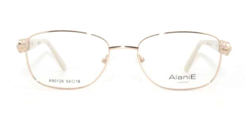 Оправа Alanie A90126 c1 54-18-140