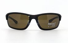 Polarized  Polar Eagle 8213 С2 70-16-122