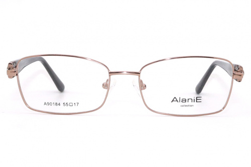 Оправа Alanie 90184 c4 55-17-140 фото 2