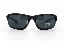 Polarized  Polar Eagle 8213 С3 70-16-122