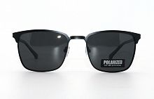Polarized 348 С1 54-17-130