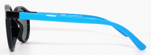 Polarized  8289 С18 фото 3