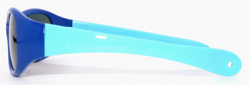 Polarized 8174 С28 фото 3