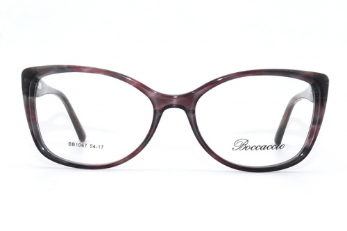 Оправа Baccaccio 1067 С2 54-17-142 фото 2 Оправа Baccaccio 1067 С2 54-17-142 фото 2