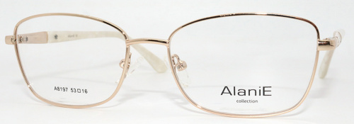 Оправа Alanie A8197 c1 53-16-140 фото 2