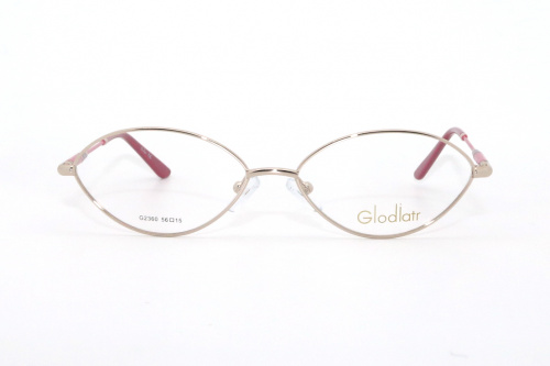 Оправа Glodiatr G2360 C1 56-15-140 фото 2