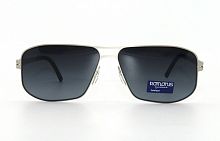 Polarized Romons  8679 С1  black  58-14-138