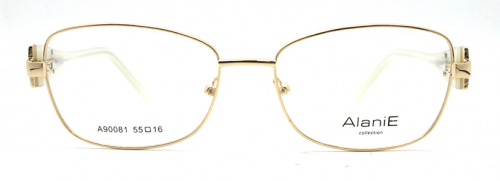 Оправа Alanie A90081 С1 55-16-140