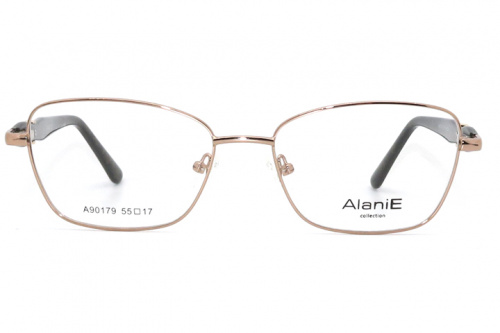 Оправа Alanie 90179 c4 55-17-140 фото 2