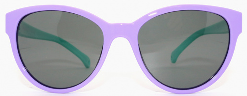 Polarized  8197 С34 фото 2