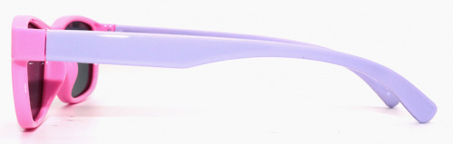 Polarized 8151 С42 фото 3