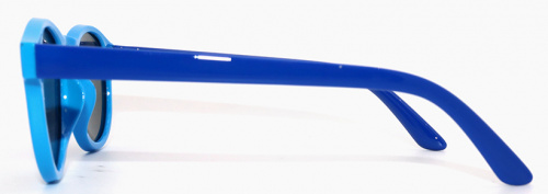 Polarized  8329 С29 фото 3