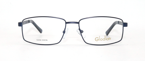 Оправа Glodiatr G2254 C8 55-16-140