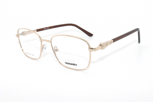 Оправа MIEN 8824 C2 54-17-142