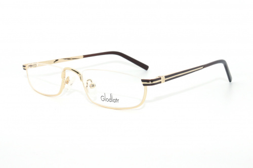 Оправа Glodiatr DS-L10 C2 51-20-145