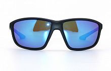 EC18038  C307  66-16-130