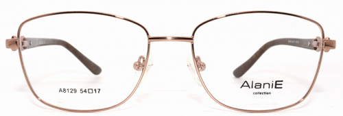 Оправа  Alanie A8129 с4 54-17-138