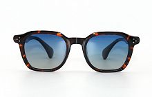 Polarized EC9827  C31  49-21-152