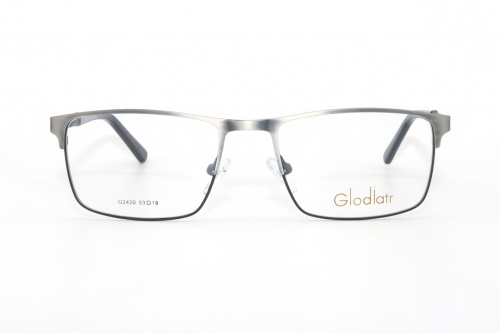 Оправа Glodiatr  G2420 C2 53-18-140 фото 2