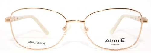 Оправа Alanie A8017 c1 53-16-138