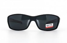 Polarized  Polar Eagle 8242 С4 56-17-139