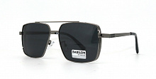 Polarized BABILON 0708 C4  60-15-137